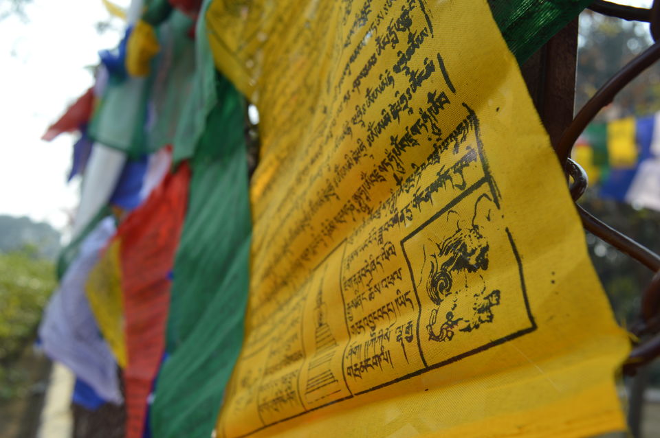 Photo of The Serene Sarnath by Aabdika Sharma