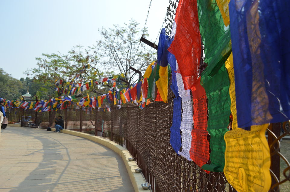 Photo of The Serene Sarnath by Aabdika Sharma