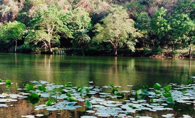 Photo of Renuka Lake, Renuka Ji, Himachal Pradesh, India by Aabdika Sharma