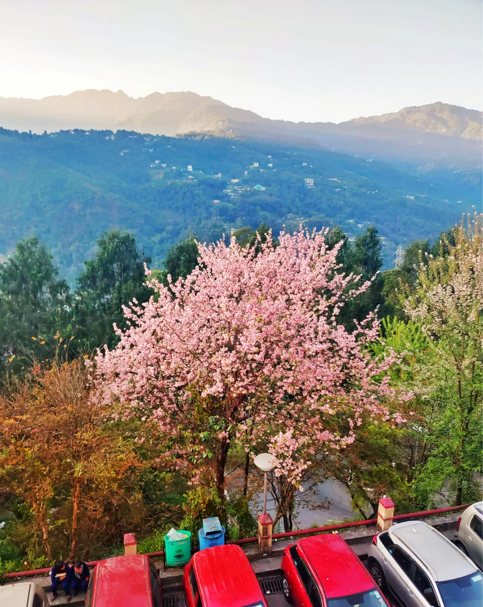 Photo of Gangtok, Sikkim, India by Saurav Pradhan