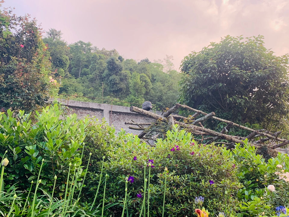 Photo of Namchi, Sikkim, India by Saurav Pradhan