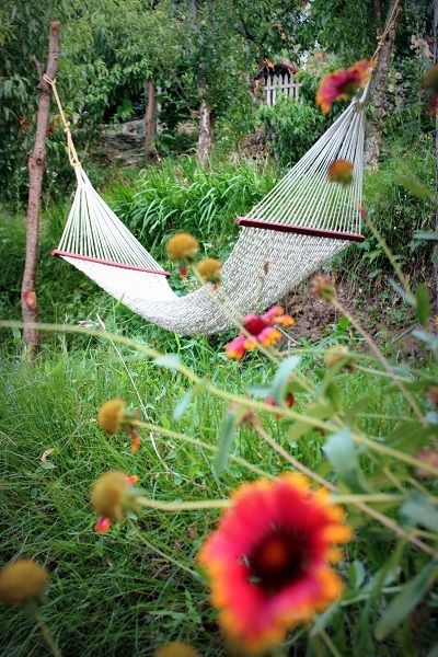 Photo of Nathukhan: Nainital's Secret Weekend Getaway 3/7 by Rakhi Jerly