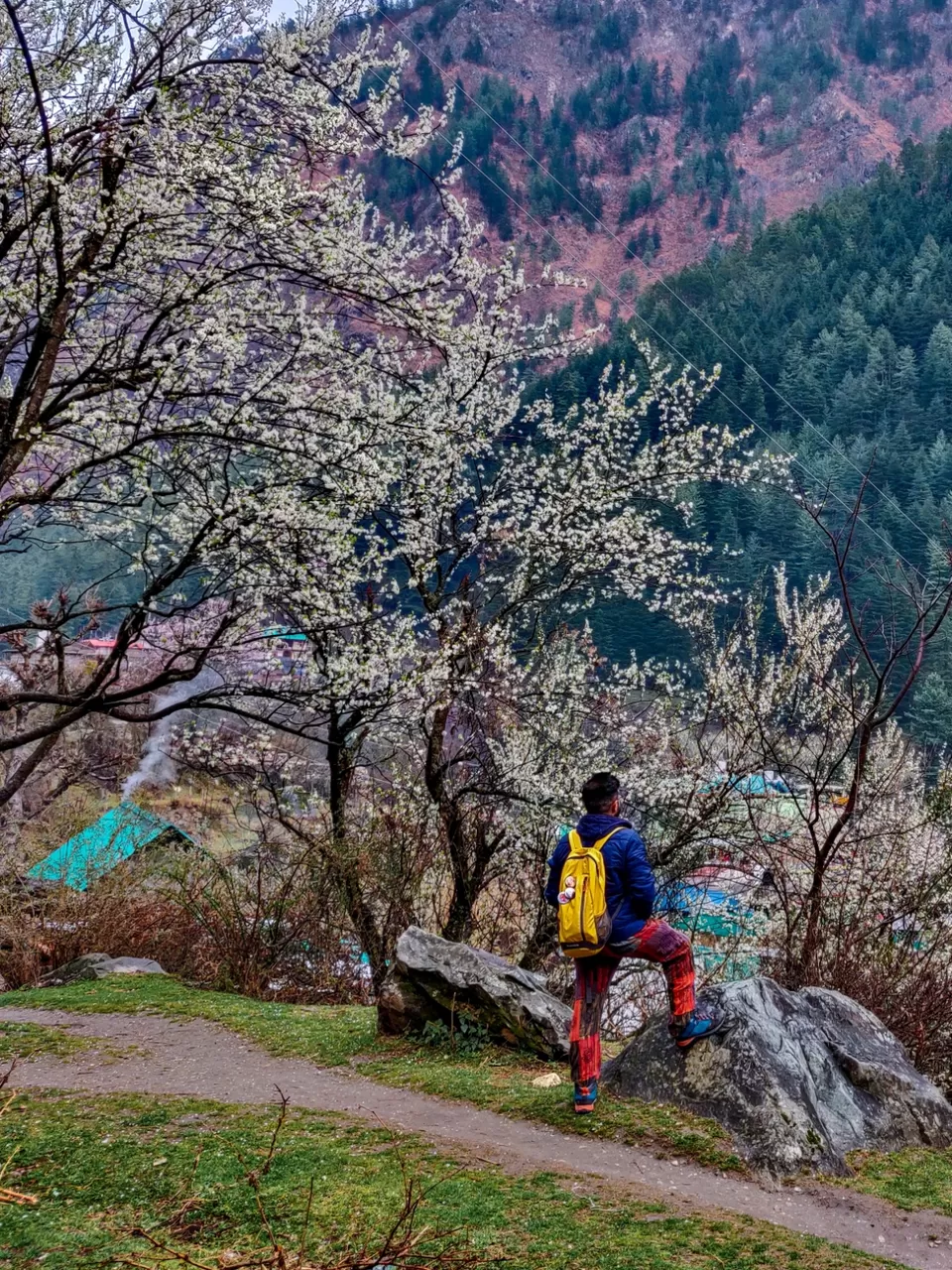 Photo of Tosh by Divansh Sachdeva