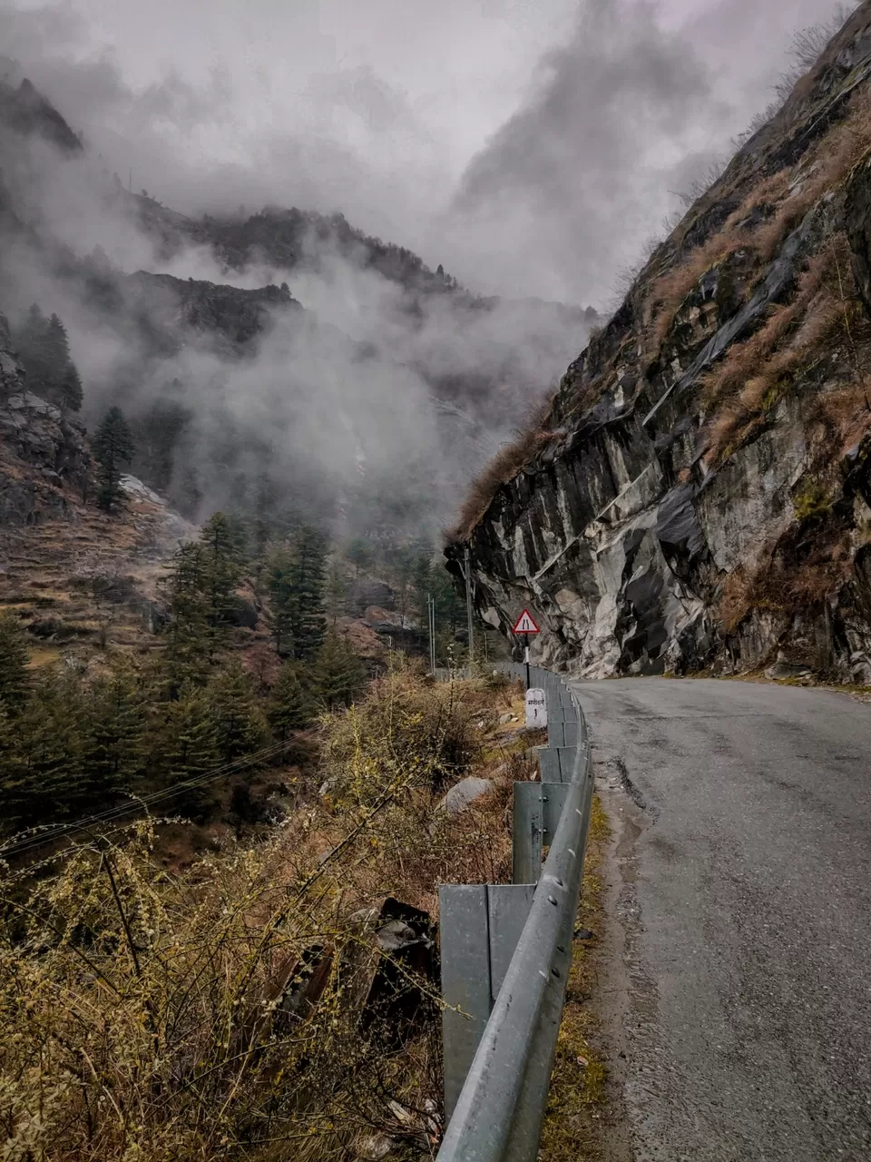 Photo of Tosh by Divansh Sachdeva