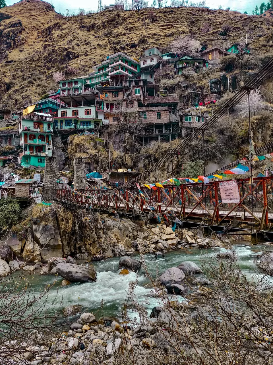 Photo of Tosh by Divansh Sachdeva