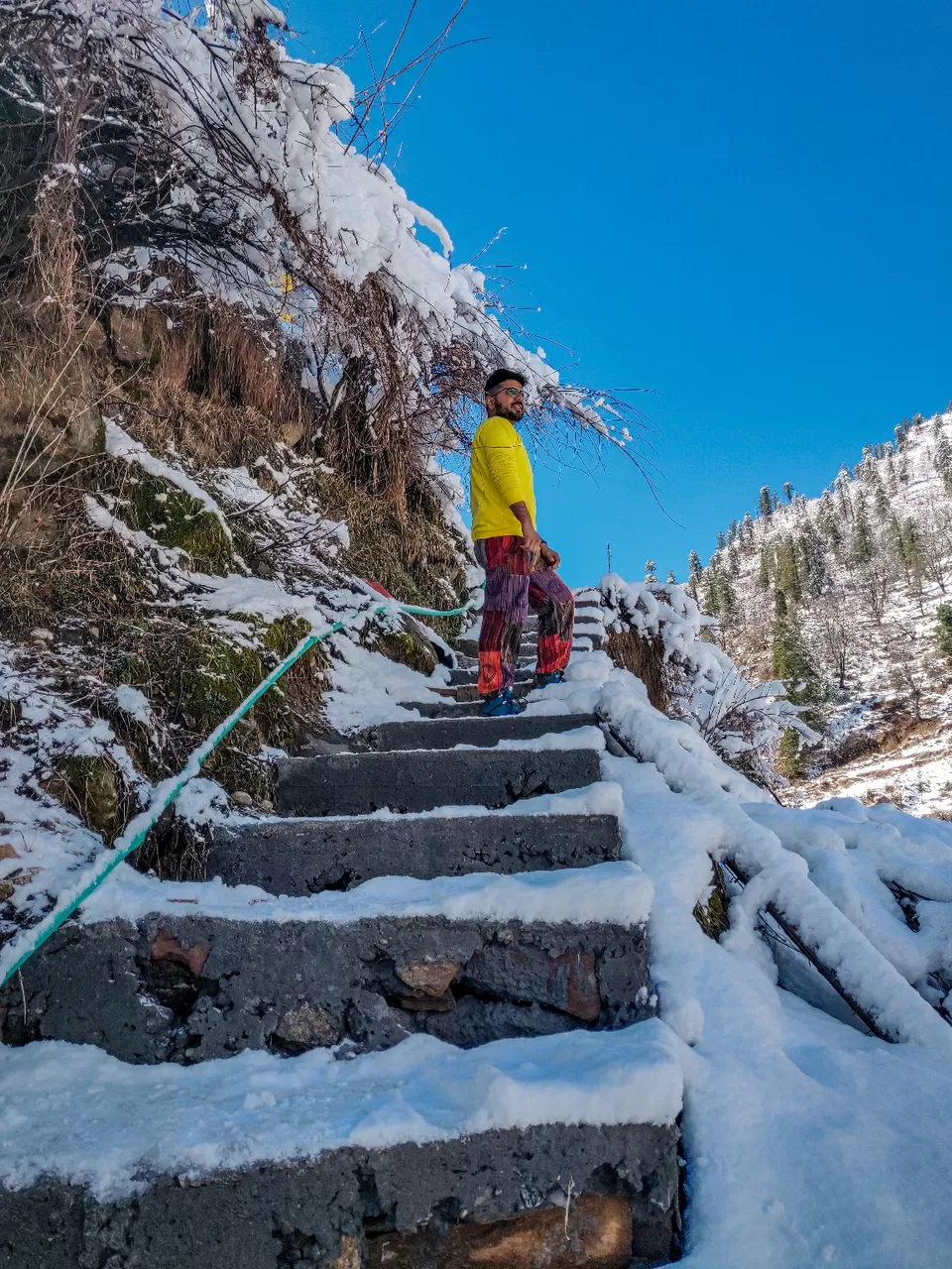 Photo of Tosh by Divansh Sachdeva