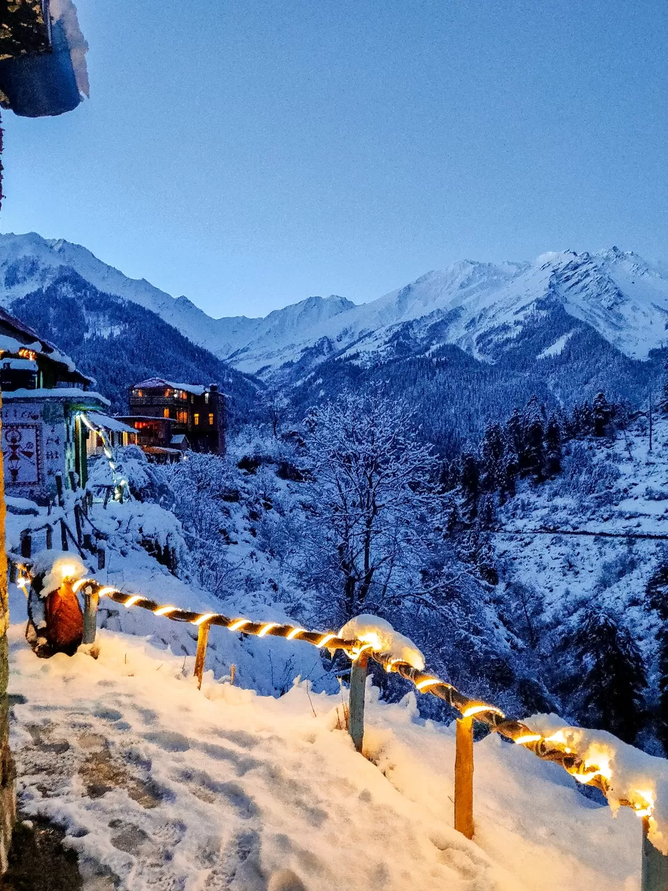 Photo of Tosh by Divansh Sachdeva