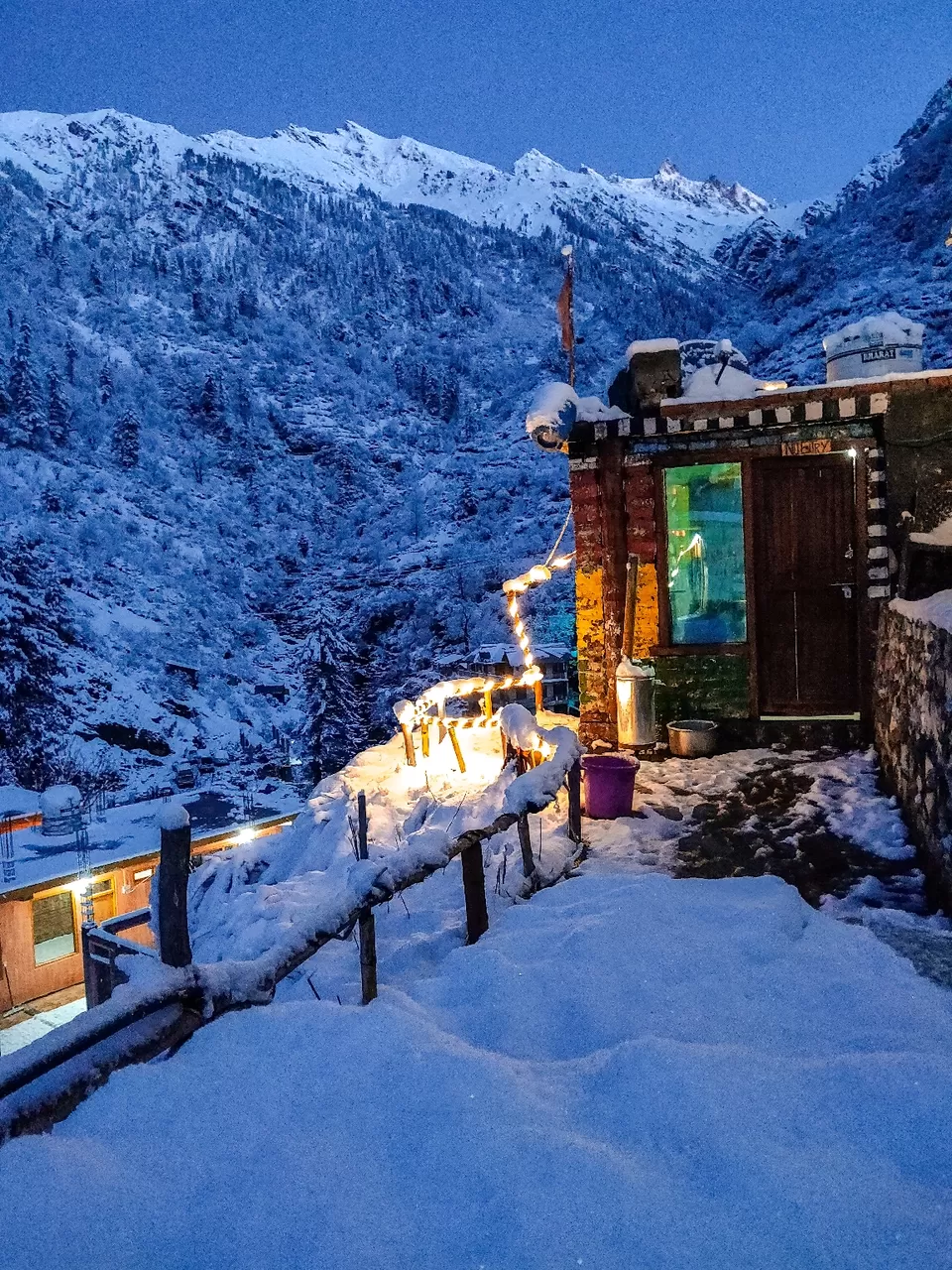 Photo of Tosh by Divansh Sachdeva