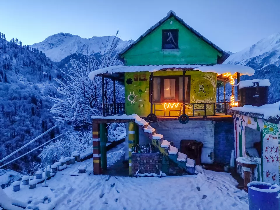 Photo of Tosh by Divansh Sachdeva