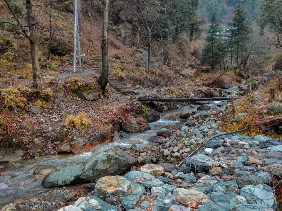 Photo of Tosh by Divansh Sachdeva