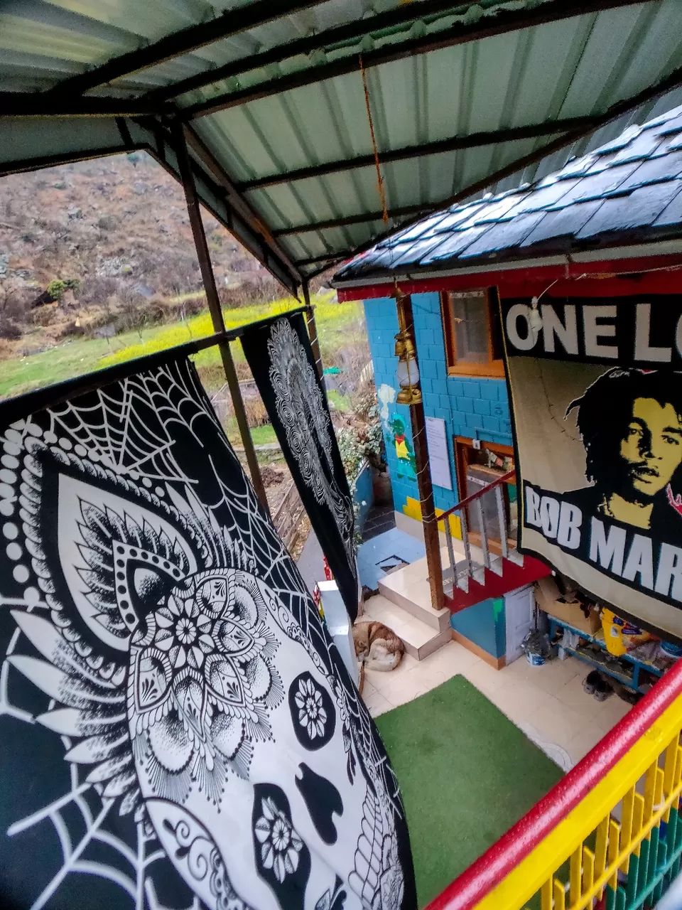 Photo of Tosh by Divansh Sachdeva