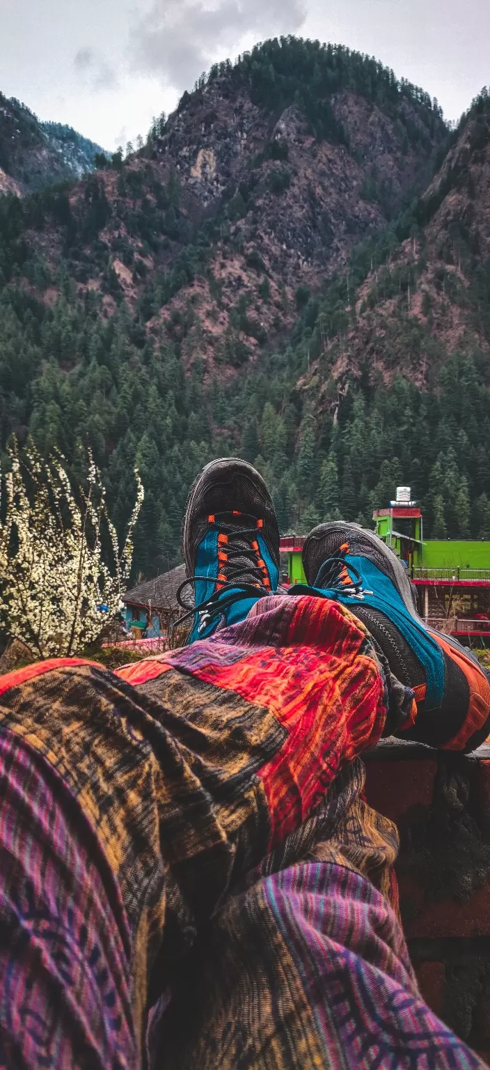 Photo of Tosh by Divansh Sachdeva