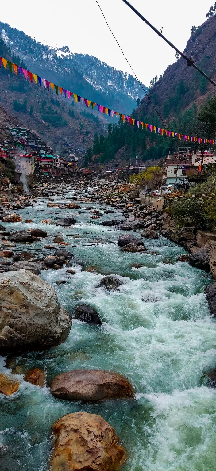 Photo of Tosh by Divansh Sachdeva