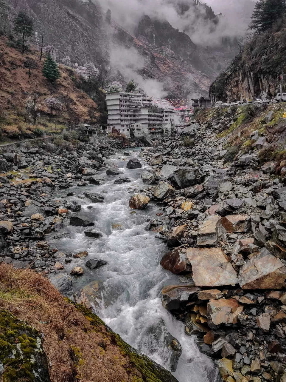 Photo of Tosh by Divansh Sachdeva