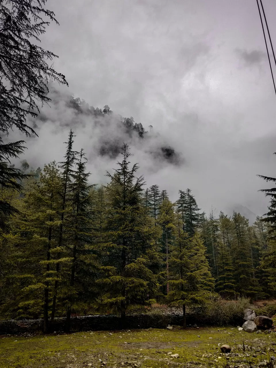 Photo of Tosh by Divansh Sachdeva