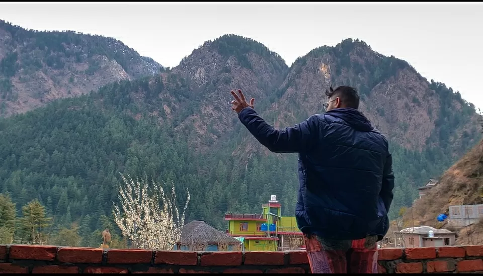 Photo of Tosh by Divansh Sachdeva