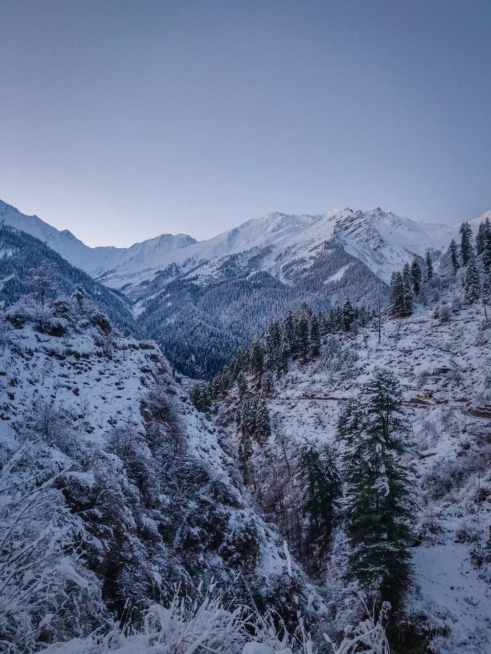 Photo of Tosh by Divansh Sachdeva