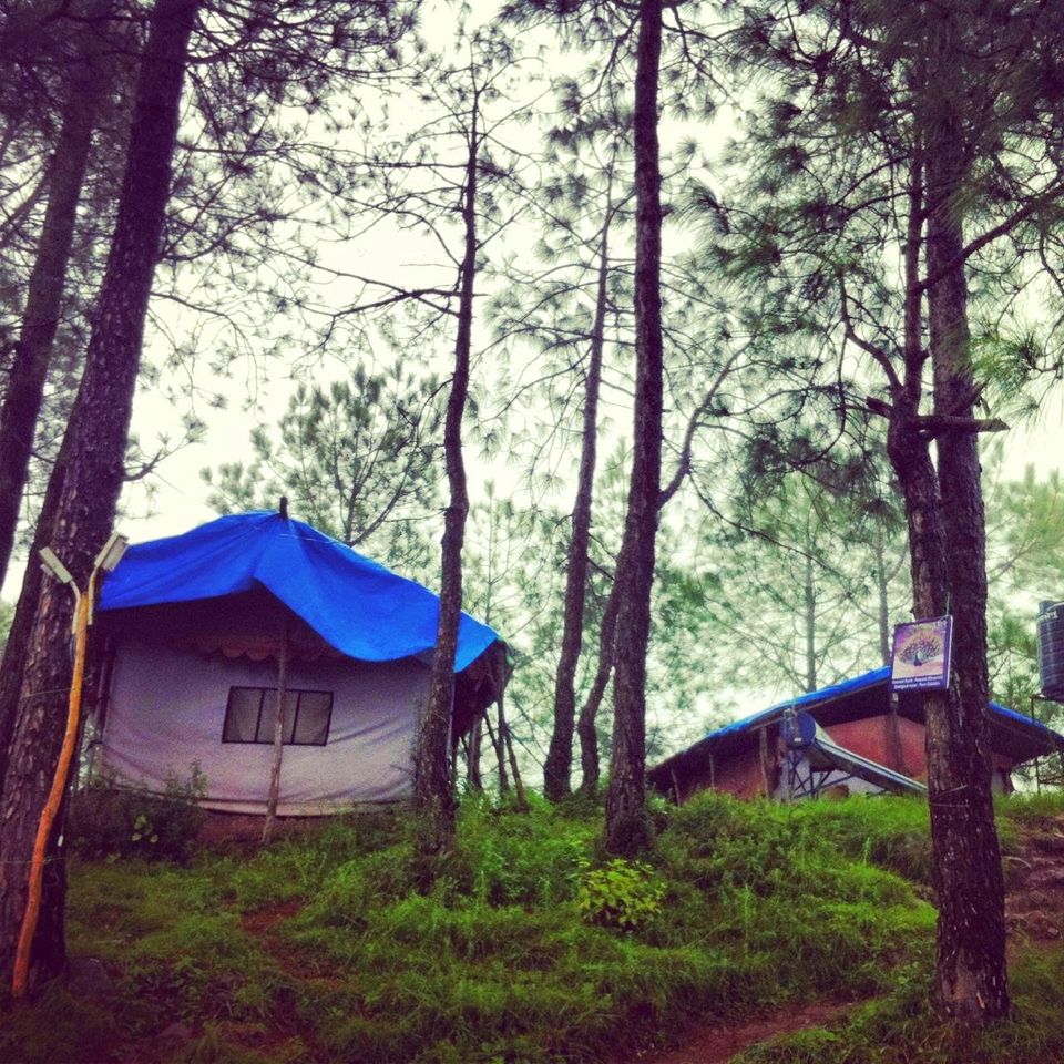 Photo of Kasauli, Himachal Pradesh, India by The Travel Shrink
