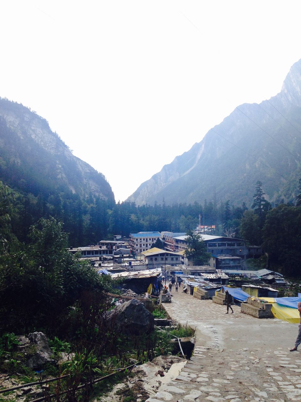 Photo of Walking through my favourite Enid Blyton novel: The Valley of flowers 1/17 by The Travel Shrink