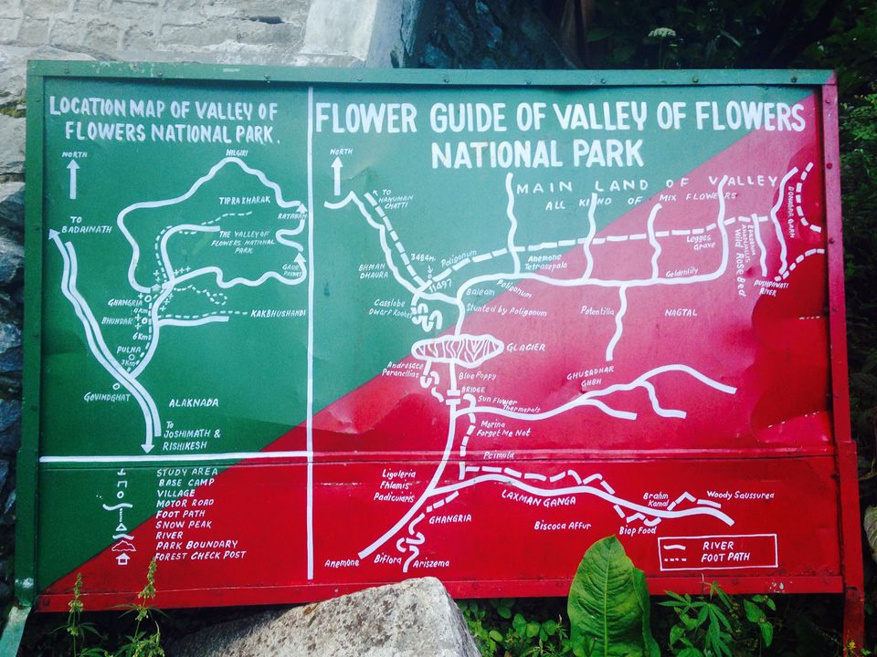 Photo of Walking through my favourite Enid Blyton novel: The Valley of flowers 2/17 by The Travel Shrink
