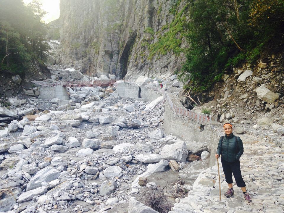 Photo of Walking through my favourite Enid Blyton novel: The Valley of flowers 3/17 by The Travel Shrink