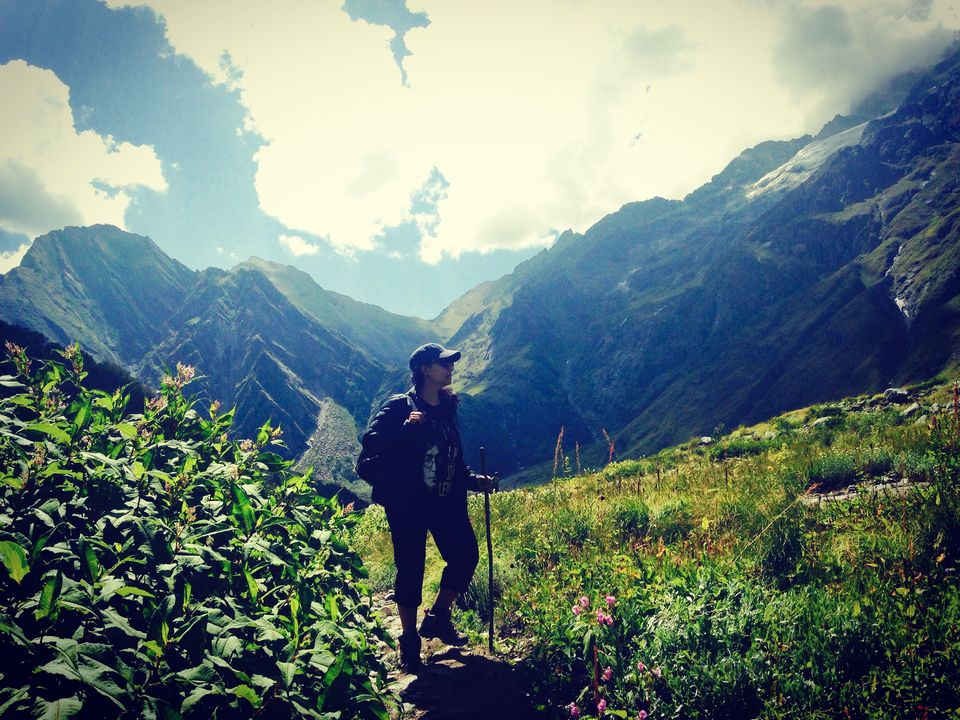 Photo of Walking through my favourite Enid Blyton novel: The Valley of flowers 11/17 by The Travel Shrink