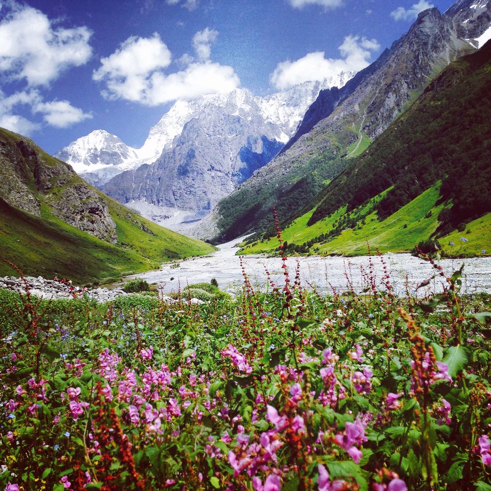 Photo of Walking through my favourite Enid Blyton novel: The Valley of flowers 13/17 by The Travel Shrink