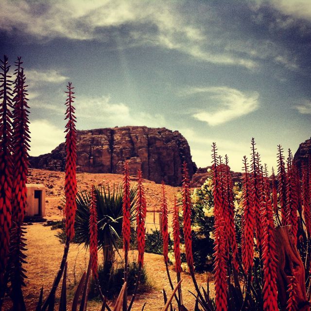 Photo of Road-trip through Jordan 14/15 by The Travel Shrink