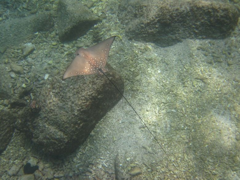 Photo of Exploring the Wilder Side of Seychelles 6/13 by Rebecca