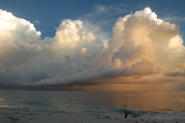 Photo of Exploring the Wilder Side of Seychelles 10/13 by Rebecca