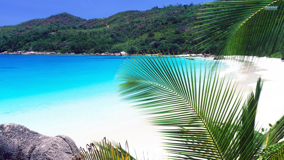 Photo of Exploring the Wilder Side of Seychelles 13/13 by Rebecca