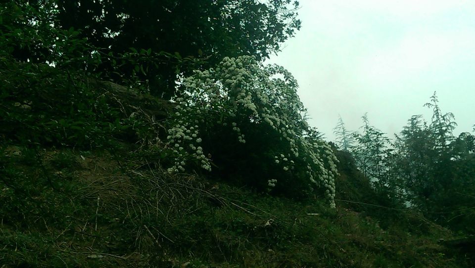 Photo of by Gagnika Singh