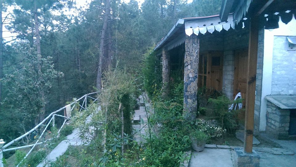 Photo of by Gagnika Singh