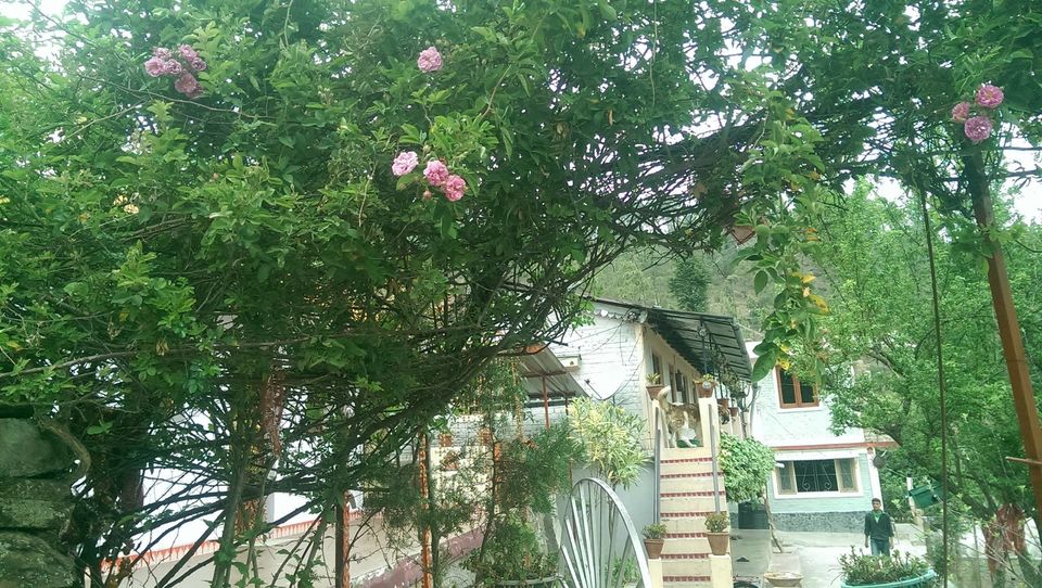 Photo of by Gagnika Singh