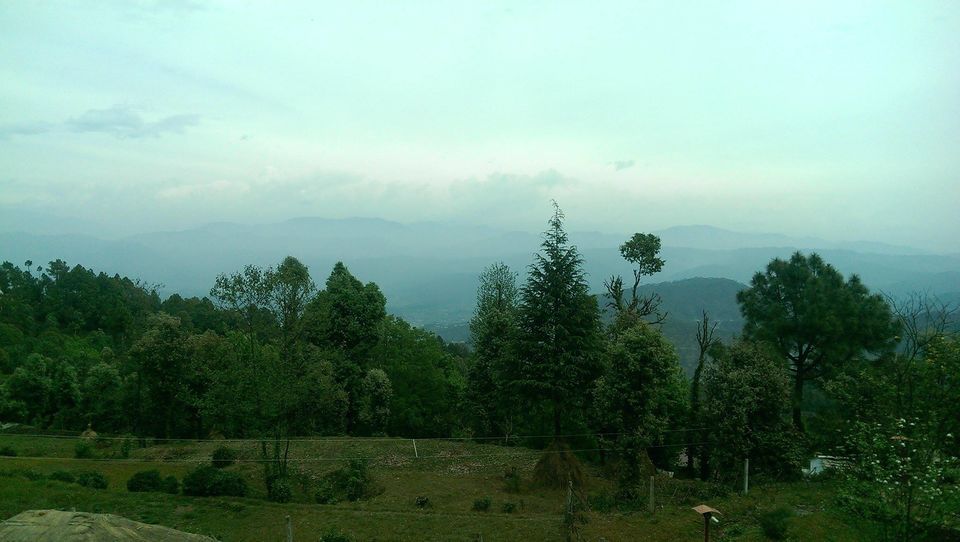 Photo of by Gagnika Singh