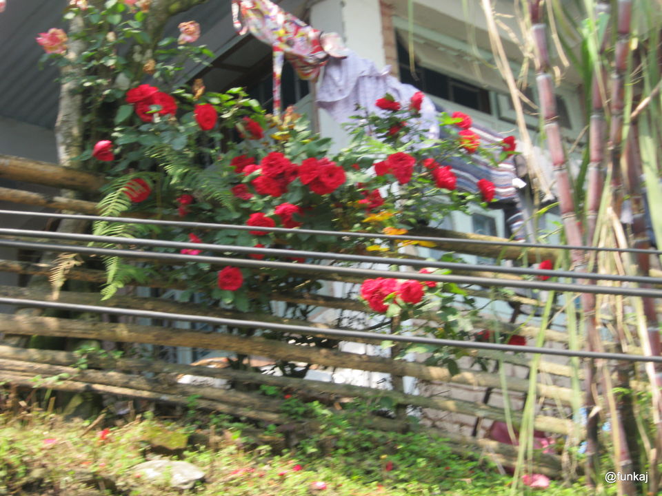 Photo of Sikkim With Love 20/35 by funkaj