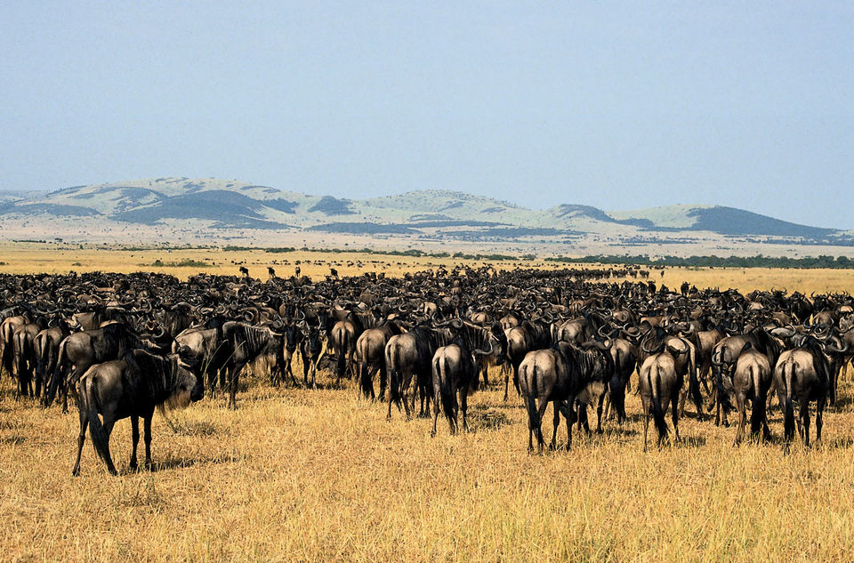 Photo of LUXURY CAMPING SAFARIS by ExpectinAfrica