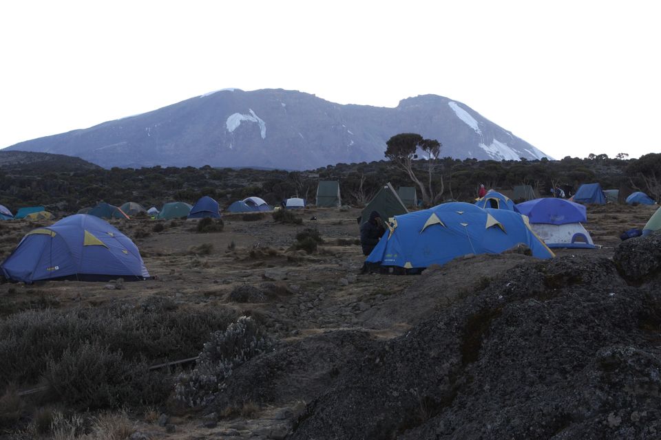 Photo of Shira Camp, Hai, Kilimanjaro Region, Tanzania by ExpectinAfrica