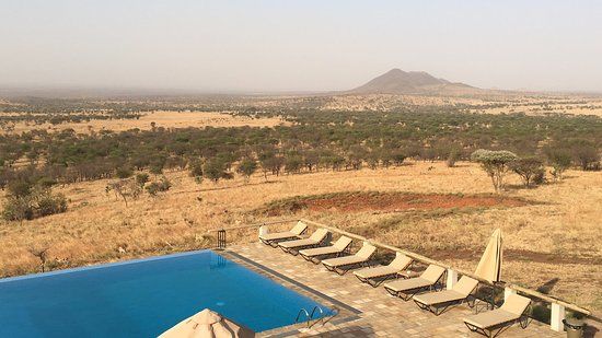 Photo of Serengeti National Park, Serengeti, Mara Region, Tanzania by ExpectinAfrica