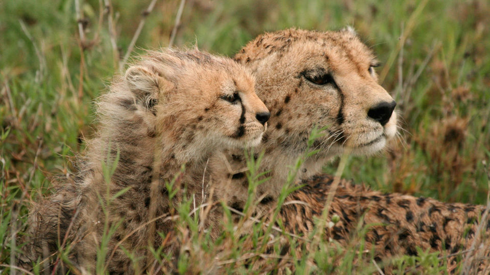 Photo of Ngorongoro Sopa Lodge, Ngorongoro, Arusha Region, Tanzania by ExpectinAfrica