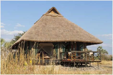 Photo of Serengeti National Park, Serengeti, Mara Region, Tanzania by Expect In Africa Safari