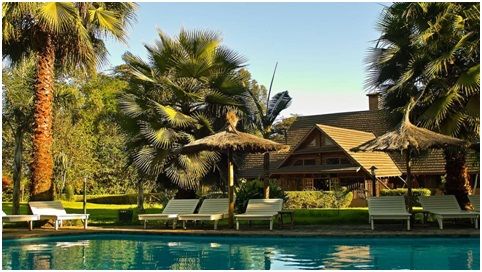 Photo of 7 DAYS -SAFARIS TARANGIRE SERENGETI NGORONGORO CRATER & LAKE MANYARA 2/2 by Expect In Africa Safari