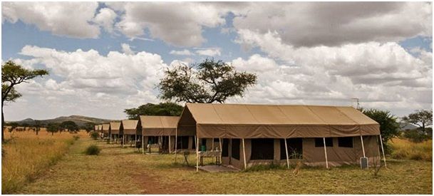 Photo of Serengeti National Park, Tanzania by Expect In Africa Safari