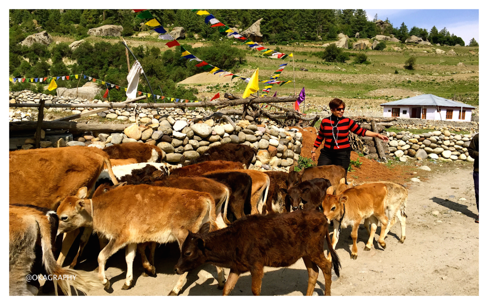 Photo of A world within a world - SPITI 2/14 by Medha oka
