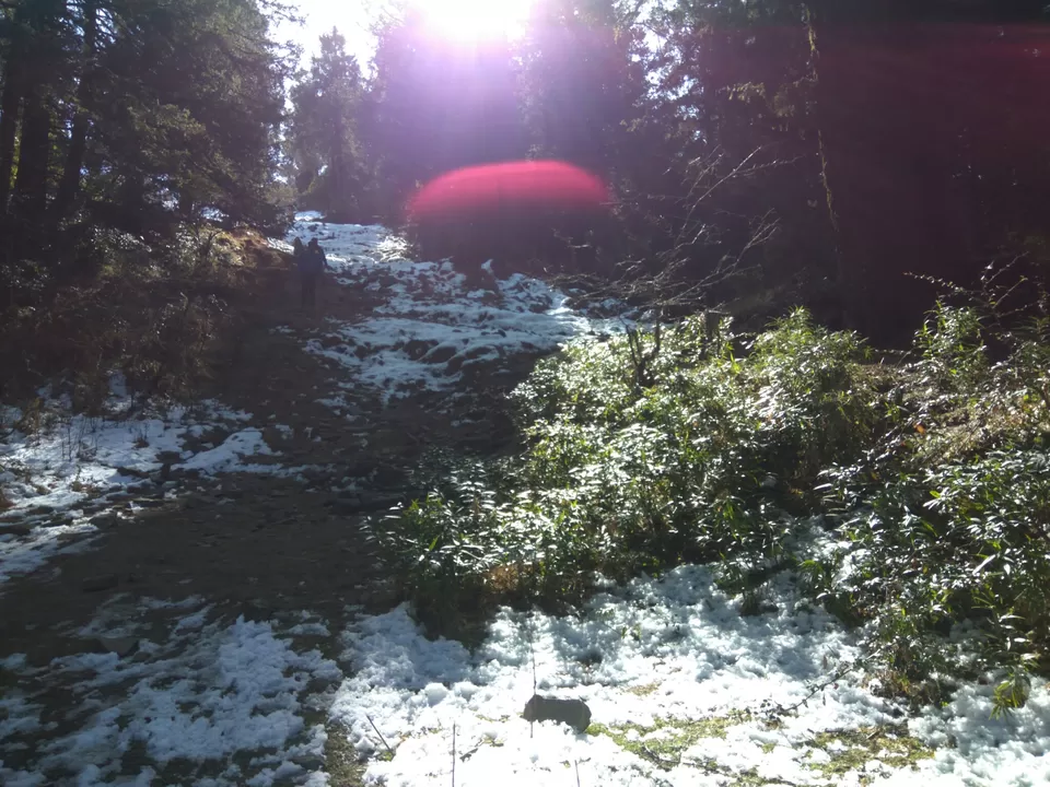 Photo of Winter Trek to Prashar Lake with minimum budget by Ishan Ghorela