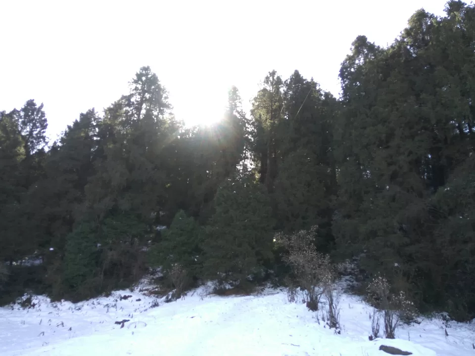 Photo of Winter Trek to Prashar Lake with minimum budget by Ishan Ghorela