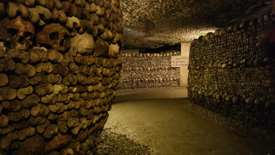 Photo of Catacombs of Paris, Avenue du Colonel Henri Rol-Tanguy, Paris, France by Zerxes Wadia