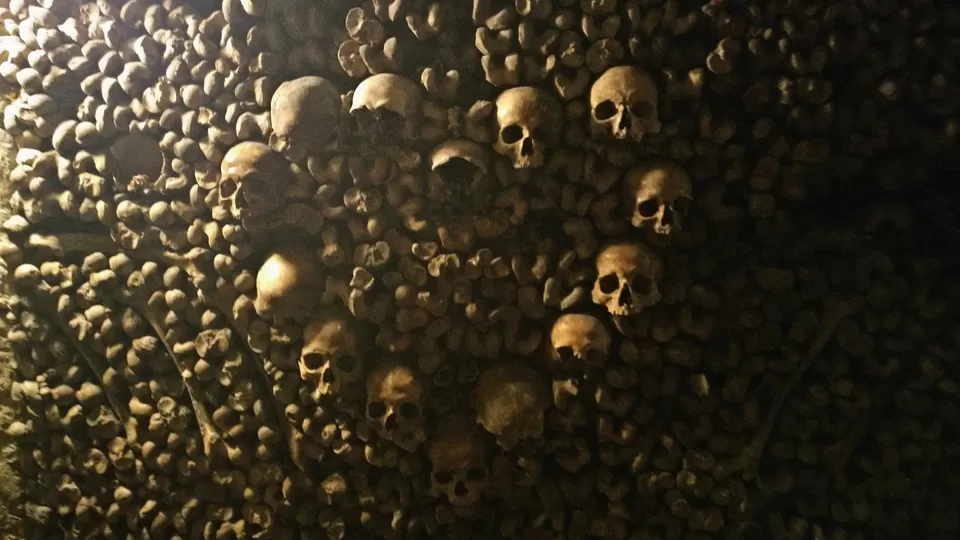 Photo of Catacombs of Paris, Avenue du Colonel Henri Rol-Tanguy, Paris, France by Zerxes Wadia