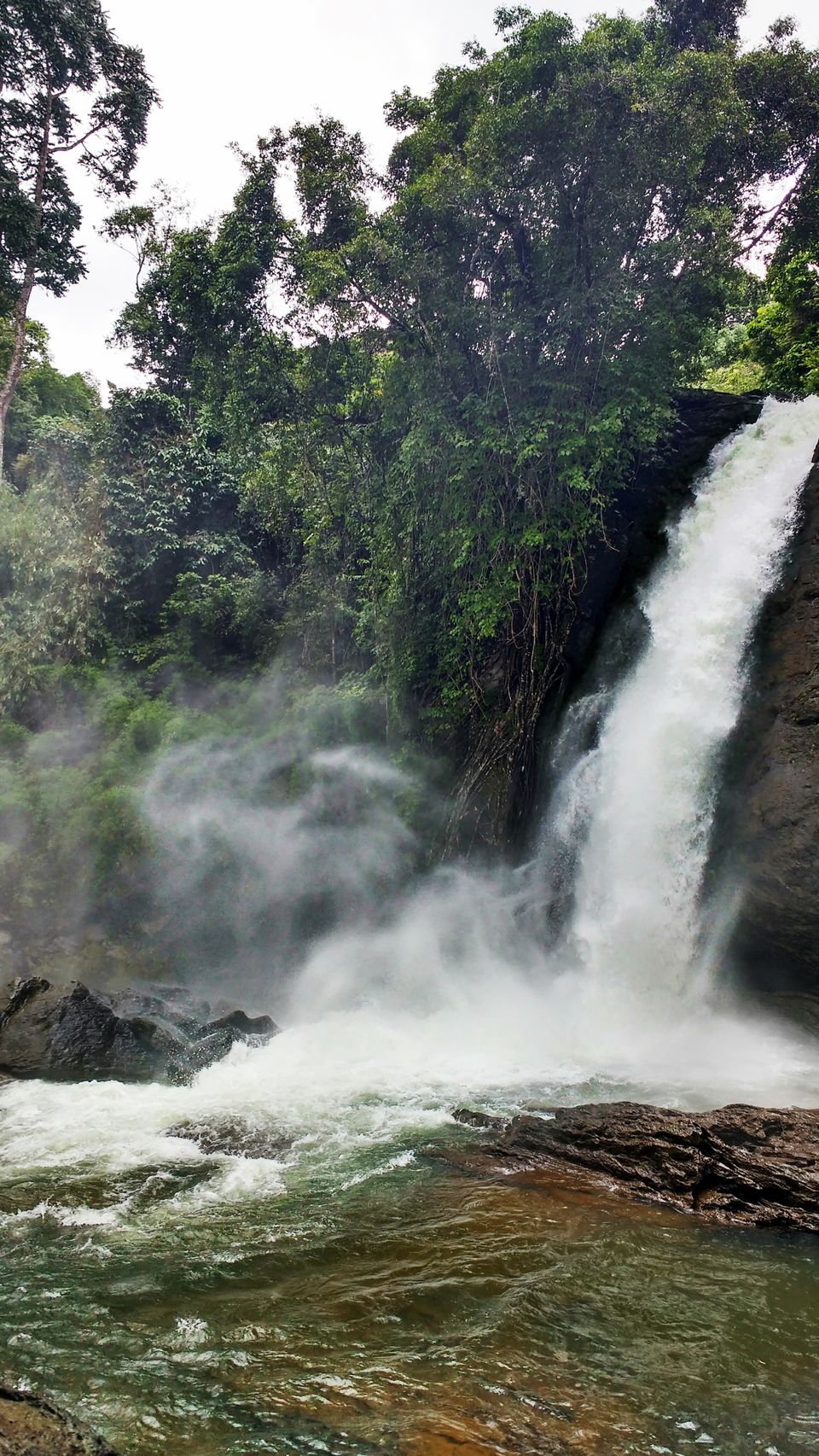 Photo of Rejuvenating trip to Wayanad (Kerela) 1/8 by Megha Goel
