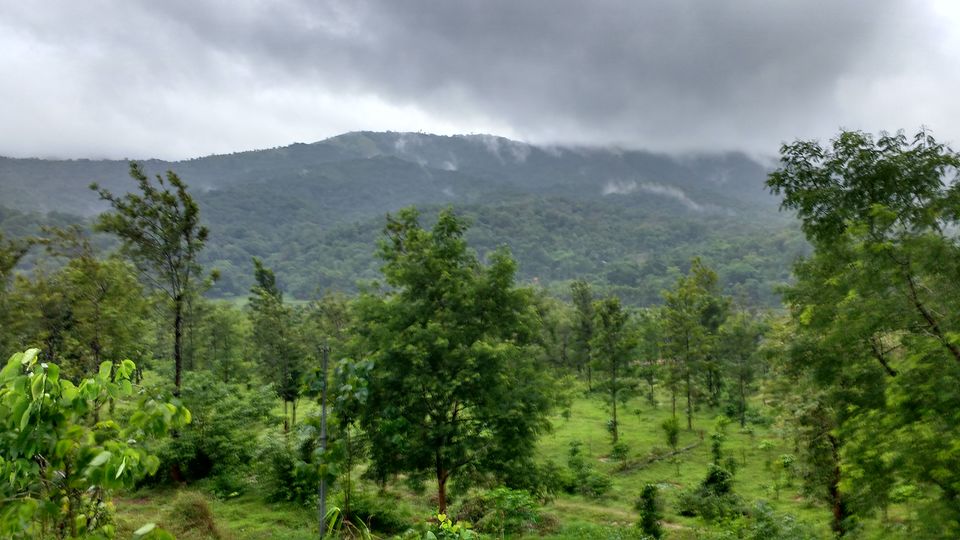 Photo of Rejuvenating trip to Wayanad (Kerela) 3/8 by Megha Goel